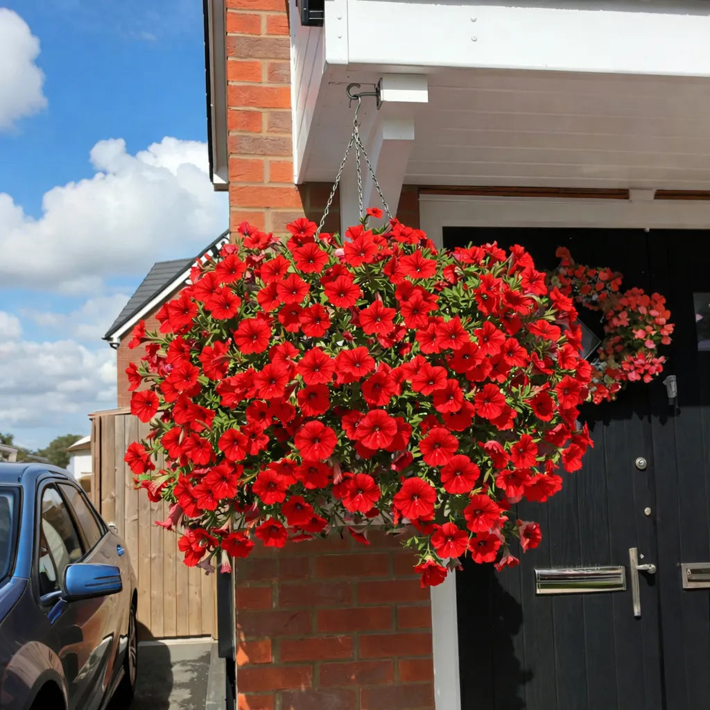 🔥BUY 1 GET 1 FREE (2 PCS)🔥UV Resistant Artificial Petunias Flowers